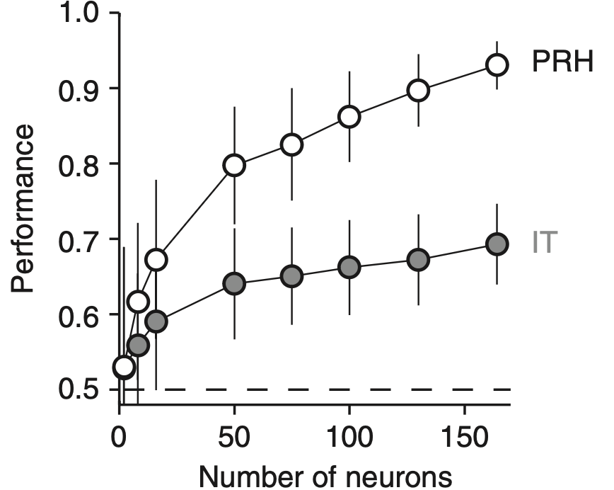 Signals in inferotemporal and perirhinal cortex suggest an untangling of visual target information