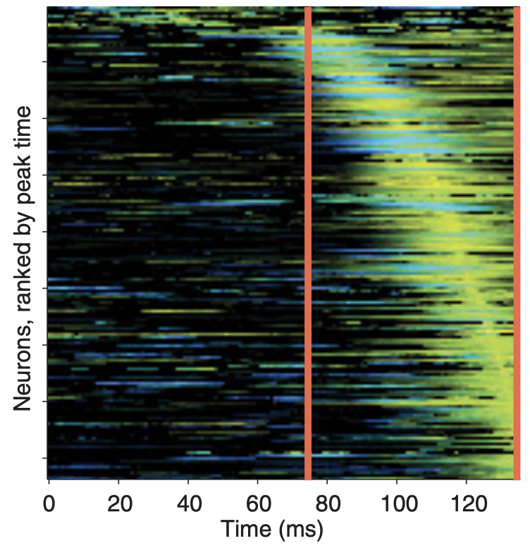 Dynamic Target Match Signals in Perirhinal Cortex Can Be Explained by Instantaneous Computations That Act on Dynamic Input from Inferotemporal Cortex